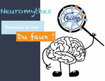 Les neuromythes les plus répandus.